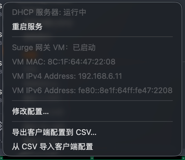 Surge 网关虚拟网关状态与配置入口